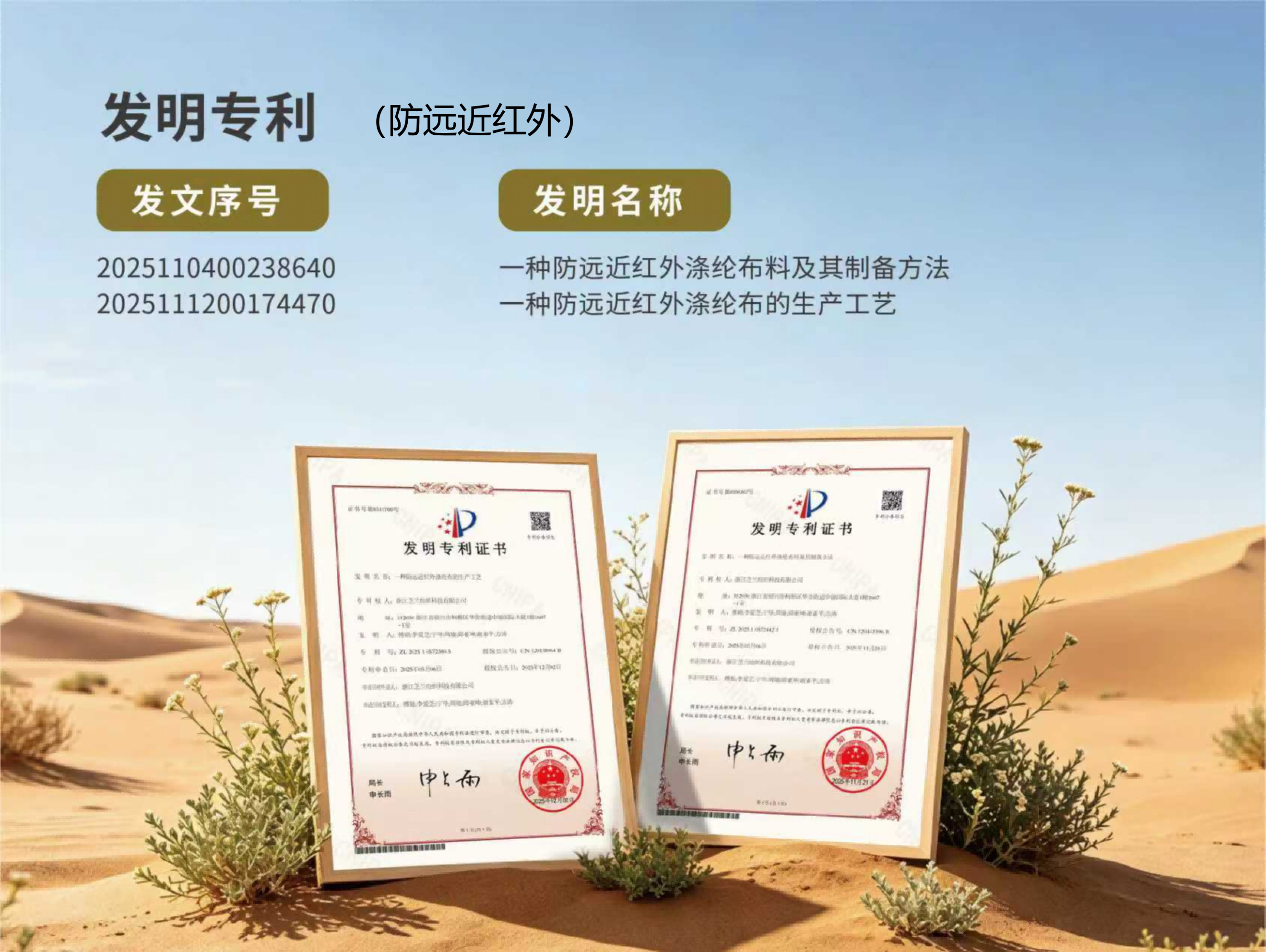 发明专利